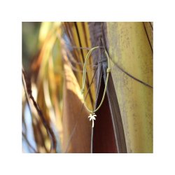 Silver+Surf Silber Schmuck Palme Gr S vergoldet