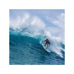 Surfboard TORQ Epoxy TET 7.8 VP Funboard Pinlines