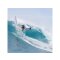 Surfboard TORQ TEC M2.0 7.10 Weiss
