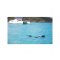 OverBoard wasserdichter Packsack 20 Liter Weiss