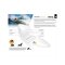 Surfboard TORQ Epoxy TET 9.6 Longboard  Pinline