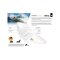 Surfboard TORQ Epoxy TET 9.6 Longboard  Pinline