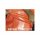 PVC Repair Pad 7,5 x 10 cm self adhesive tape