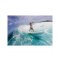 Surfboard TORQ Epoxy TET 6.6 MOD Fish Pinlines