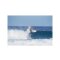 Surfboard TORQ Epoxy TET 6.6 MOD Fish Pinlines