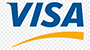 Visa Zahlungsart
